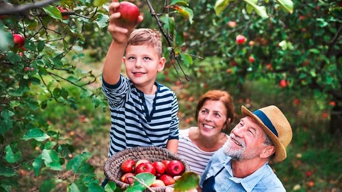 Premium Apple Potting Soil Mix - Optimal Nutrient-Rich Blend for Thriving and Juicy Apples - 2 Quart