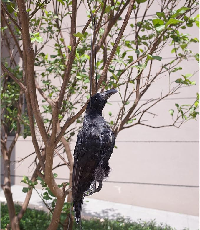 Etistta 17 inch Realistic Hanging Dead Crows Decoy Lifesize Extra Large Black Feathered Crow
