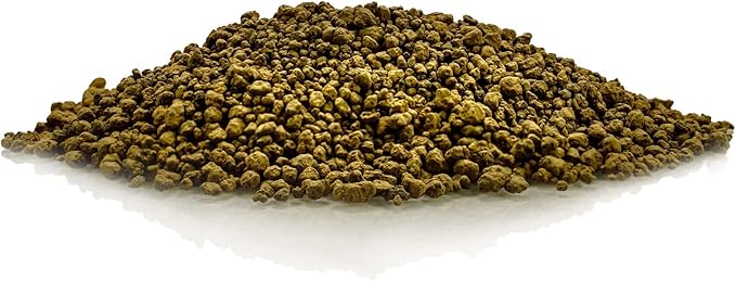 Japanese Hyuga Pumice - Premium Additive for Orchid & Bonsai Tree Soil |Professional Imported Sifted and Ready to Use (1 Quart Bag)