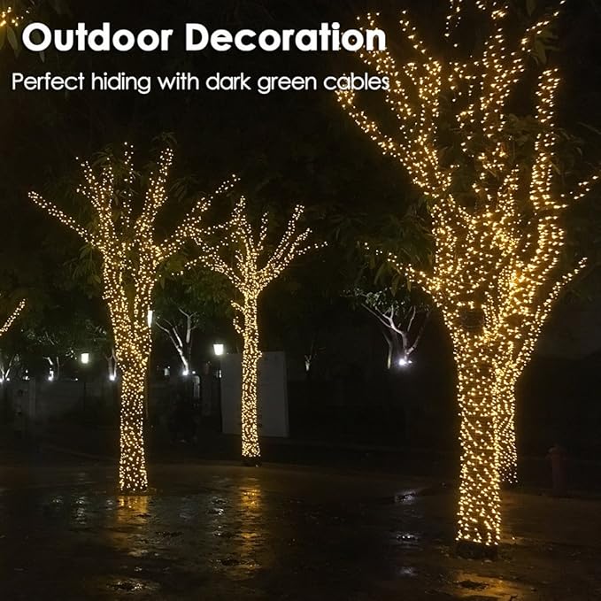 Christmas Light 100 LEDs 41ft Green Cable Wire Fairy String Twinkle Lights Plug in 12 Modes for Xmas Tree, Party, Indoor,Outdoor, Garden, Wedding, Home Decoration (Warm White)