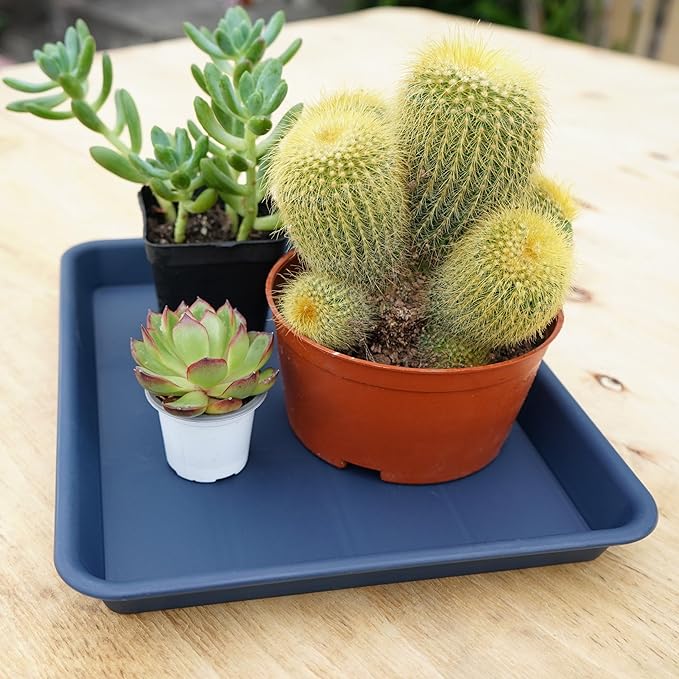 Plant Saucer Growing Tray, Seed Starter Tray Rectangular, Heavy Sturdy Plastic Plant Saucers Drainage Trays, Plant Drip Trays for Pots, Seed Starter Growing Tray (11 x 9 inch, 2 Pack)