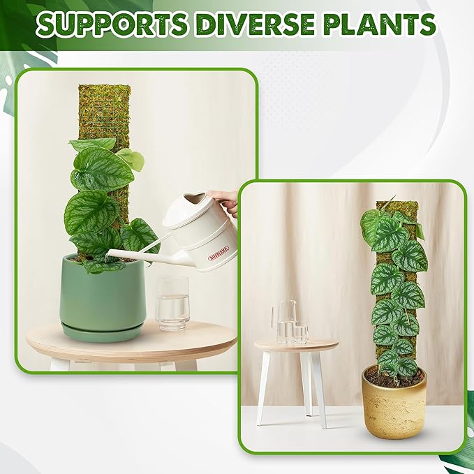 DUSPRO Flat Mesh Moss Poles for Climbing Plants Monstera Stackable Moss Pole for Plants with Real Moss Moss Plant Pole for Potted Plants Handmade Moss Stick for Indoor Plants Grow Upward 2 Pack 22β