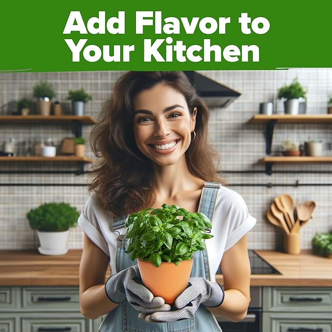 HOME GROWN 30 Herb Seeds for Planting 9,500+ Non-GMO Heirloom Seeds | Extra Large Variety Pack Herb Kit – Indoor Outdoor & Hydroponic | Culinary Seed Set | Grow Your Own Herbs | Gardening Gift