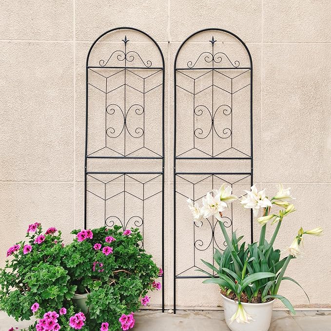 Metal Garden Trellis Rustproof Trellis for Climbing Plants Outdoor Flower Support (Black-2 Pack, 71"x19.7")