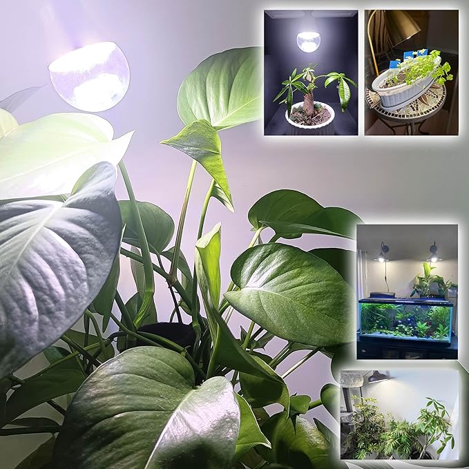 E26 A19 LED Plant Grow Light Bulbs Indoor Plants Full Spectrum,LED Sun Light Bulbs Plant Growing 100W Equivalent with Balanced Spectrum 5000K Red Blue Yellow for Seeds Greens Flower Fruit Garden,6Pack