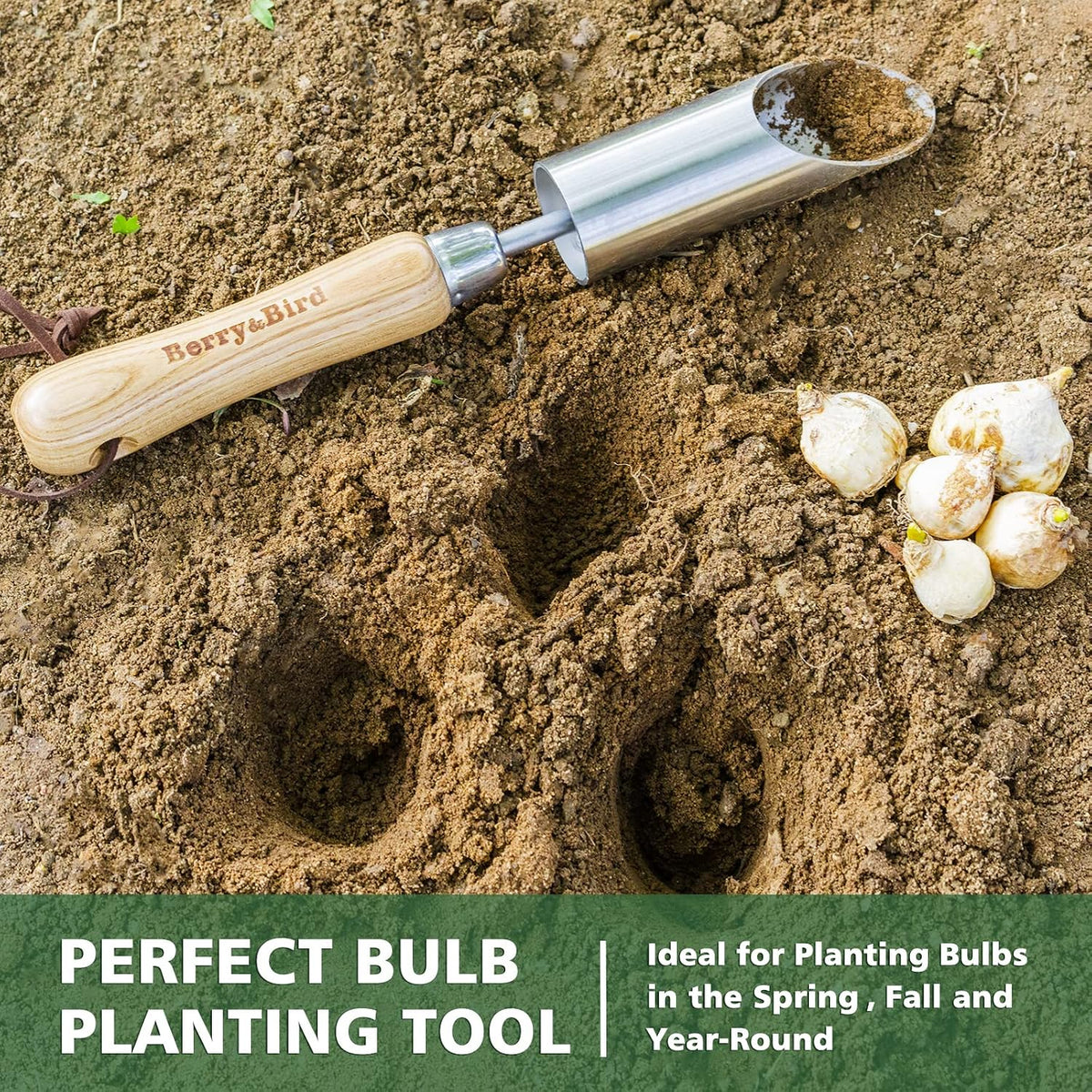 Bulb Planter Tool, 12" Seed Planter Tool Dibber Garden Tool Stainless Steel Hand Hole Digger with Wooden Handle, Garden Bulb Transplanting Dibble Tool for Seed Planting & Flower Planter