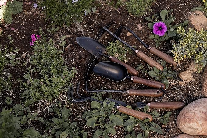 Barebones Japanese Weeding Hoe - Hoe Garden Tool - Durable Stainless Steel Hand Tool for Weeding and Digging (Walnut/Black)