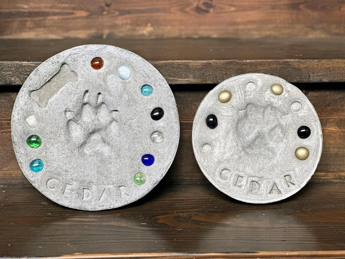 DIY Paw Print Stepping Stone Kit, Pet Memorial Stone, Pet Garden Stone (8 Inch + Stamp Set)