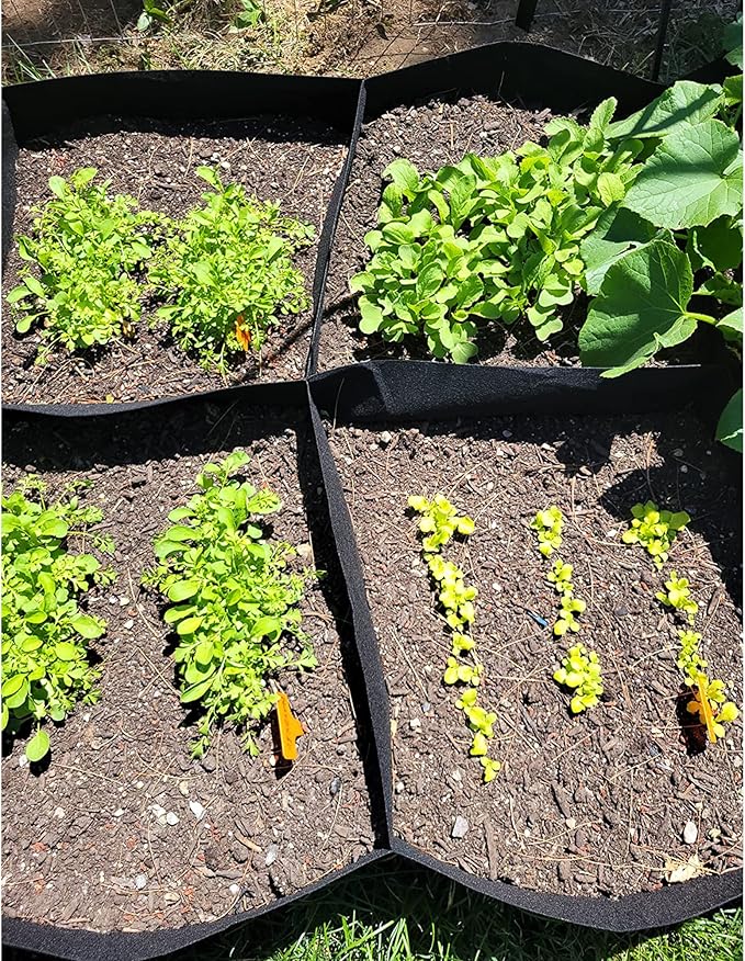 CJGQ 2 Pack Fabric Raised Garden Bed 6x3x1ft Garden Grow Bed Bags for Growing Herbs, Flowers and Vegetables 128 GallonâŠ