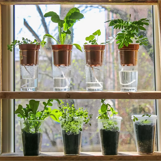 Common Self-Watering Planter Mistakes (2026 Guide)