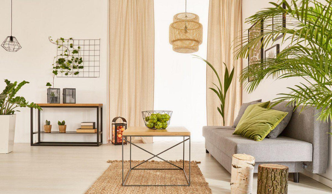 🌿 Indoor Plants That Require Almost No Care (2026 Guide)