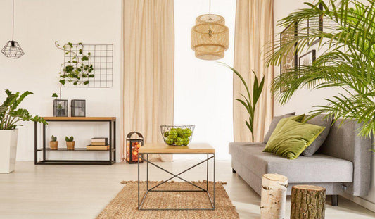 🌿 Indoor Plants That Require Almost No Care (2026 Guide)