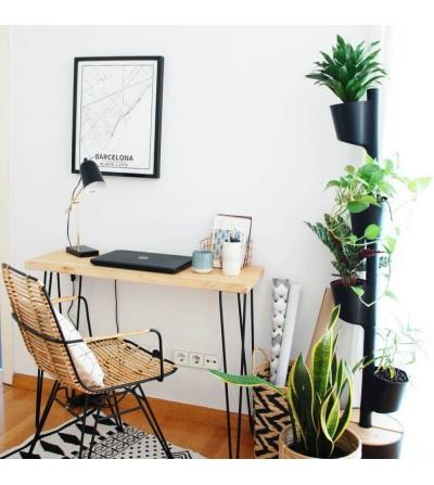 🌿 Why Low-Maintenance Gardening Is Booming in 2026