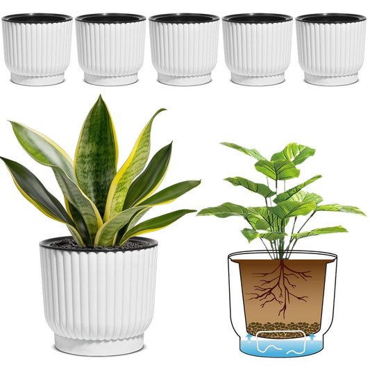 Best Indoor Plants for Self-Watering Planters (2026 Guide)
