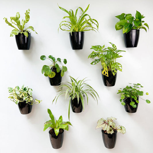 Self-Watering Planters: Are They Worth It in 2026?