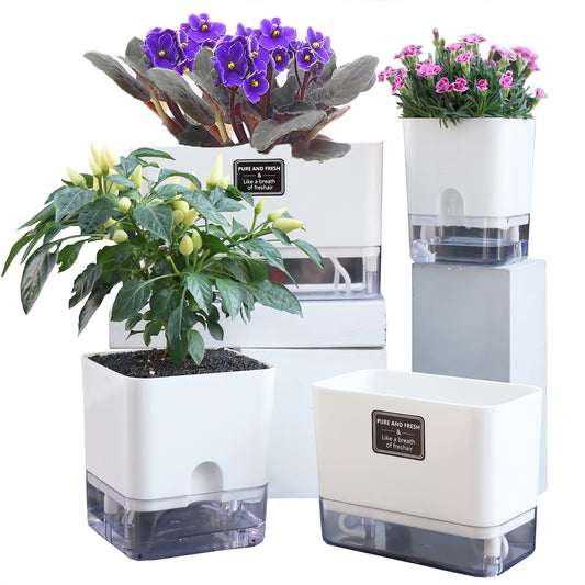 Best Self-Watering Planters for Indoor Plants (2026 Review)