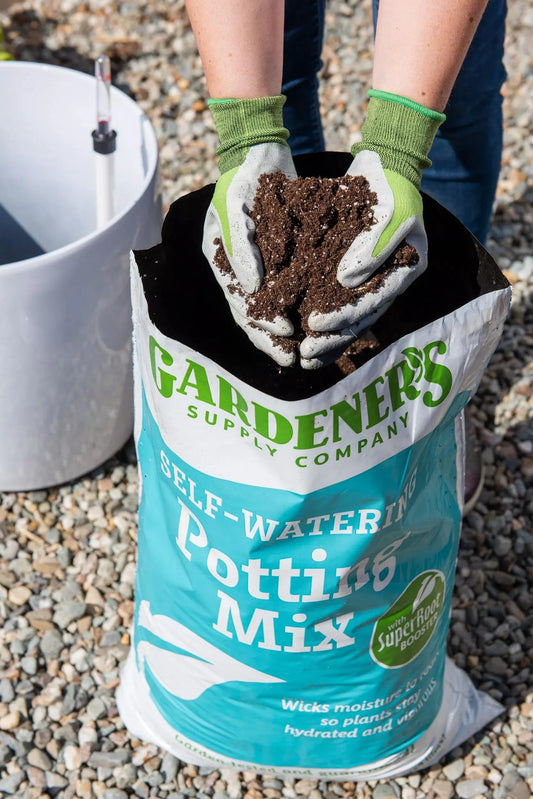 Best Soil Mix for Self-Watering Planters (2026 Guide)