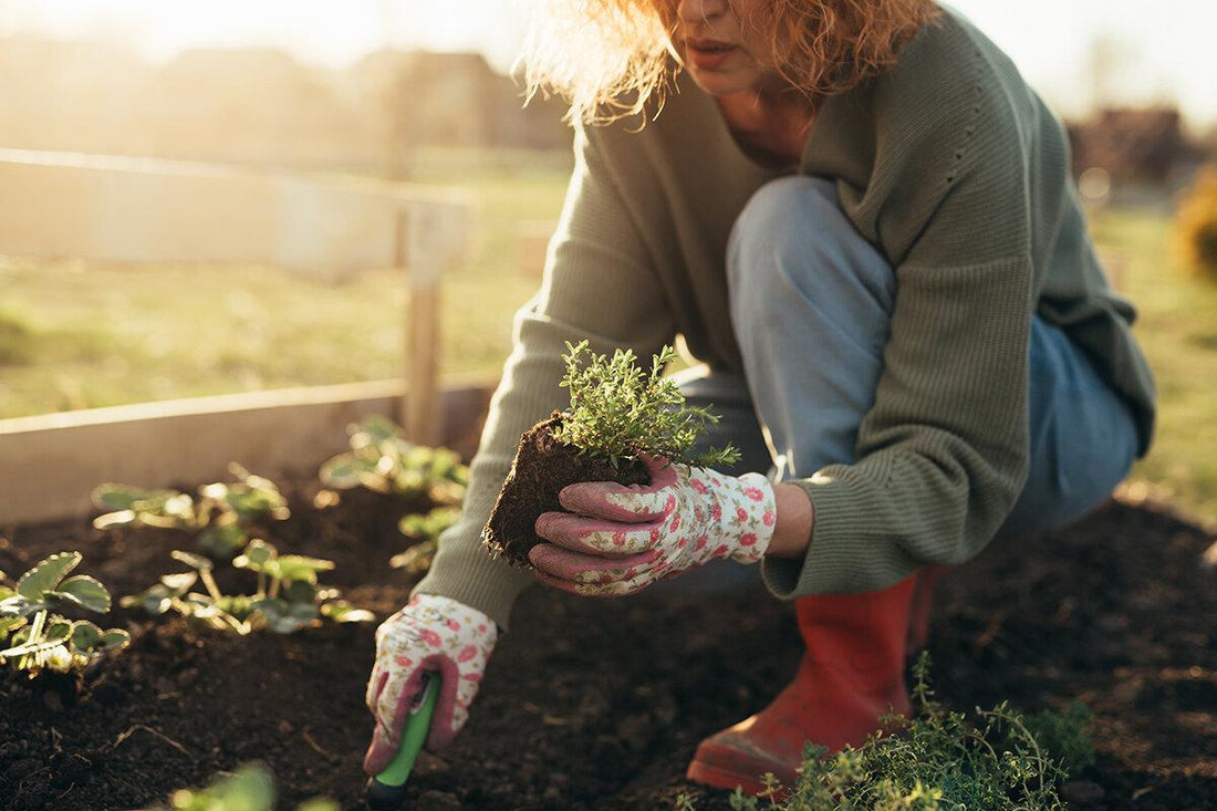 🌿 Home Gardening Trends to Watch in 2026