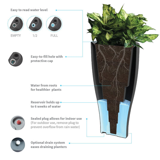 How Often Should You Refill a Self-Watering Planter? (2026 Guide)