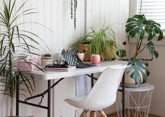 How Indoor Plants Improve Your Mood and Focus (2026 Guide)