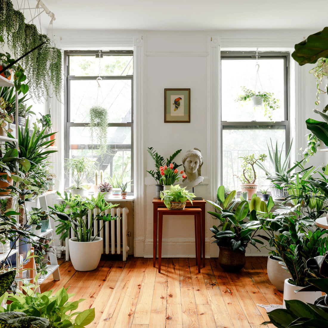 🌿 Why Slow Gardening Is Trending in 2026