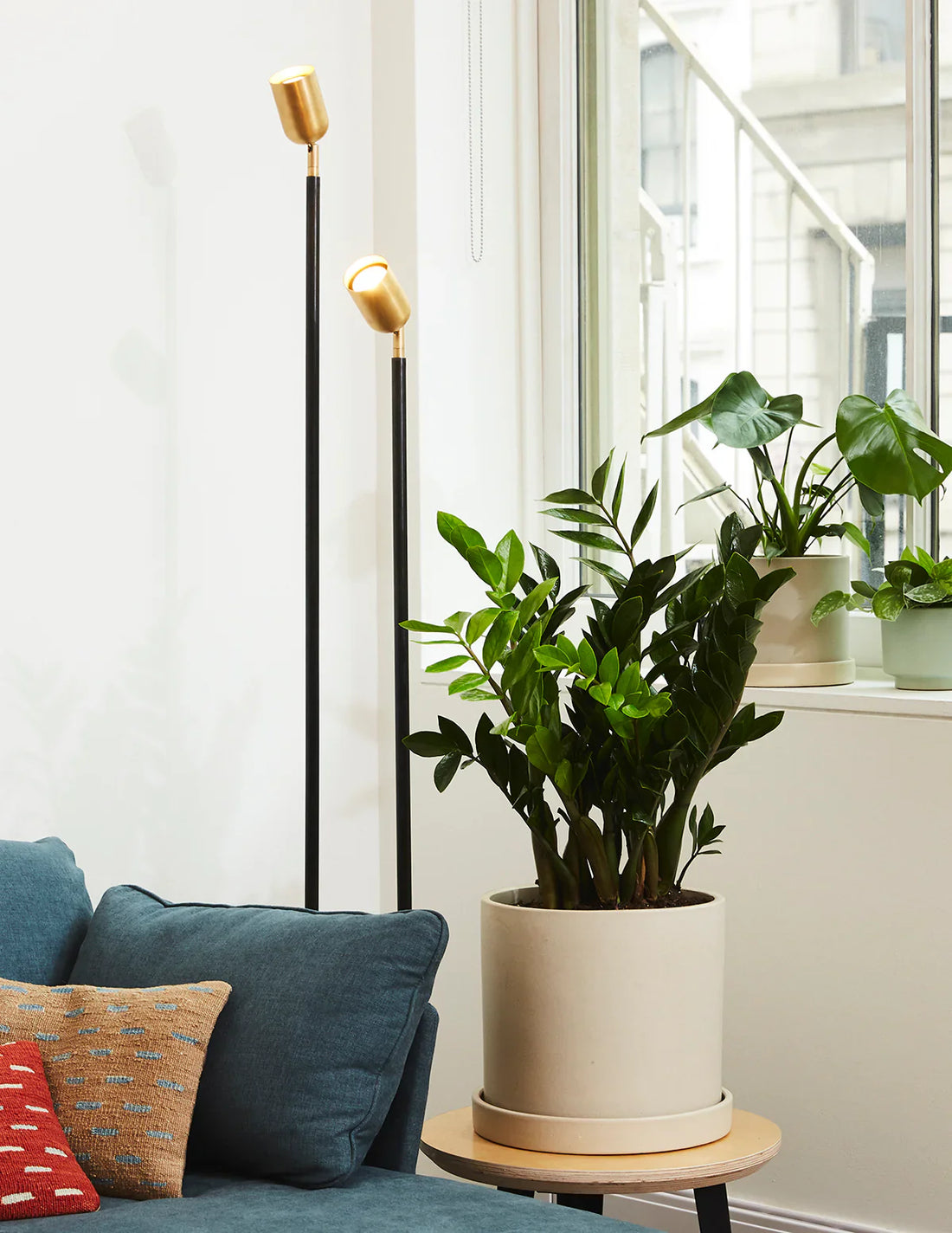 Best Indoor Plants for Busy Homes