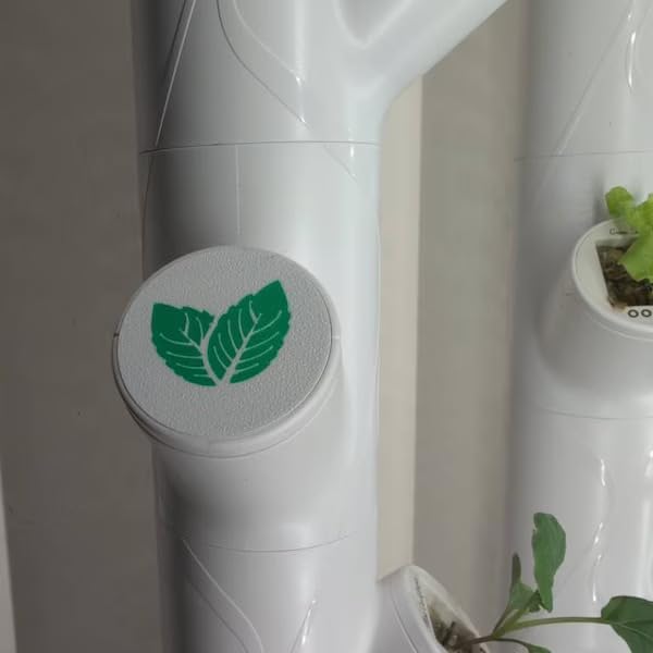 Grow Cubes for Hydroponic System/Compatible with Gardyn (10 Grow Cubes / 10 Mix caps)