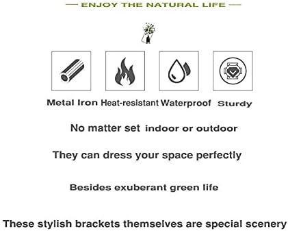 4 Leaves Style Metal Hanging Plant Brackets 12 inches x 9 inches, Pack of 2, Wall Mount Plant Hangers, Planter Hooks for Flower Baskets, Bird Feeders in Corridor/Patio/Porch/Garden