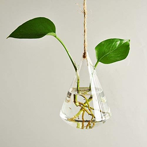 Glass Hanging Planters Indoor Outdoor Plant Pots Water Plant Containers Flower Pots Glass Terrariums Wall Vases 3 Pieces