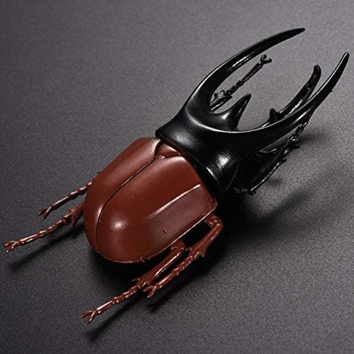 Hiawbon 5.5 inch Fake Beetle Simulated Beetle Model Realistic Plastic Beetle Figures for Fairy Garden Decoration, Set of 6