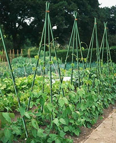 8 Pack Garden Stakes 4Ft for Climbing Plants Supports Pole EcoStake Rust-Free 3/8'' Dia Plant Sticks Fence Post (48inch)