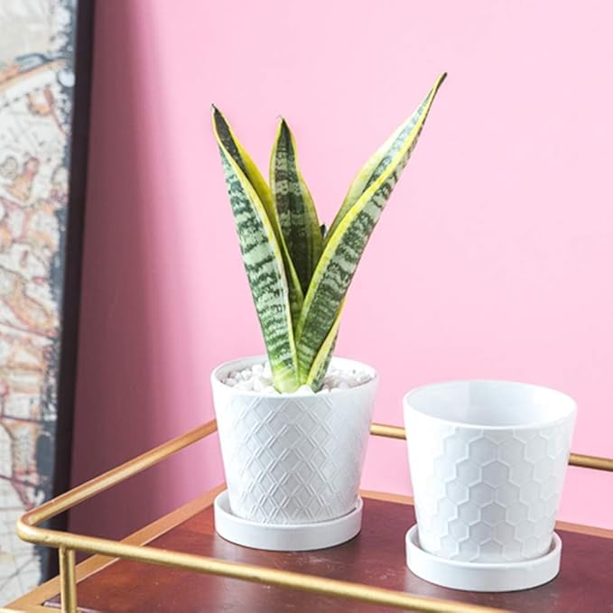 Plant Pots Indoor –5 inch Ceramic Flower Pot with Drainage Hole and Ceramic Tray - Gardening Home Desktop Office Windowsill Decoration Gift, Set of 4 - Plants NOT Included (White)
