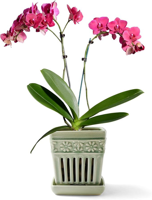 Orchid Pots with Holes | 5" Ceramic Orchid Planter with Separate Saucer and Drainage Holes | Glazed Pottery Small Flower Pot for Repotting Orchids(Green)
