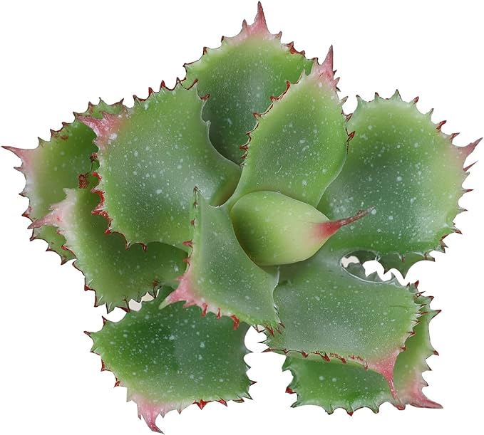Duovlo Artificial Succulent Plant 7.08 Inch Faux Succulents Agave potatorum Flower Arrangement Craft Wall DIY Materials Pack of 2 (Green)