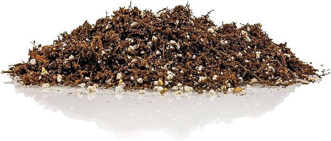 Fern + Perlite Soil Mix for Repotting and Planting Succulents and Cactuses - 5 Quart Bag
