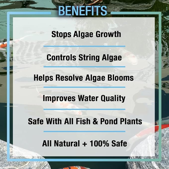 MICROBE-LIFT ALGA2.5 Algaway 5.4 Algae Control Treatment for Ponds and Water Gardens, Safe for Koi Fish, Goldfish, Plants, and Decorations, 2.5 Gallons