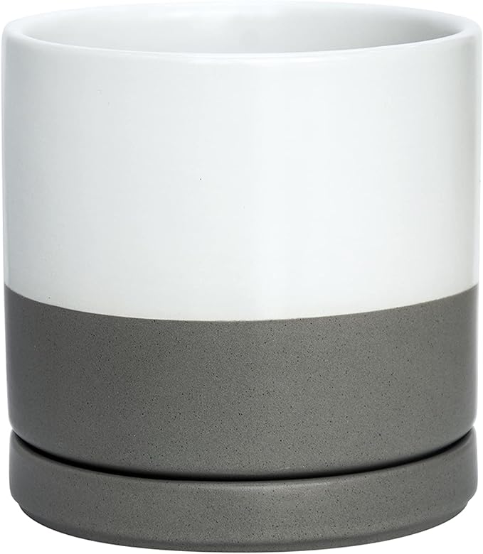 D'vine Dev 6 Inch Ceramic Planter Pot with Drainage Hole and Saucer, Indoor Cylinder Round Flower Pot, White/Speckled Grey, 94-O-C-6