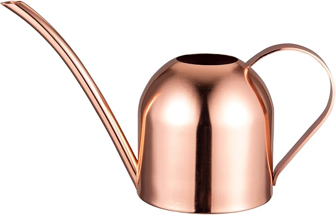 IMEEA Small Watering Can for Indoor Plants Stainless Steel Indoor Watering Can with Long Spout, 15oz/450ml