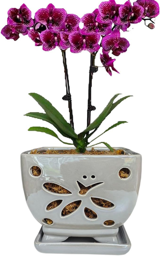 Orchid Pots with Holes Square Ceramic Orchid Planter Pots 5.5 inch (Gray)
