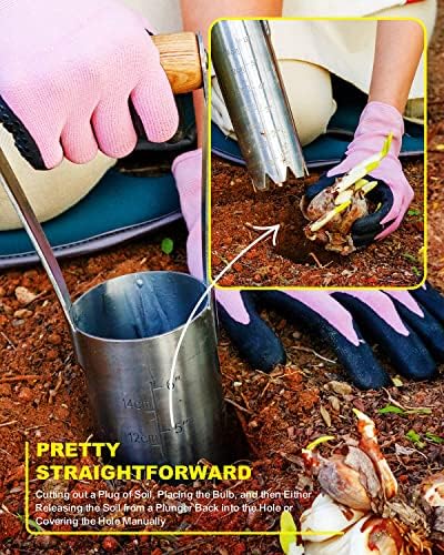 Bulb Planter Tool with 6 Inch Depth Measurment Tulip Bulb for Planting Tulip Daffodils Dahlias Garlics Bulbs Spring Fall Planting Handhold Planting Tool Garden Bulb Transplanter Hole Digger