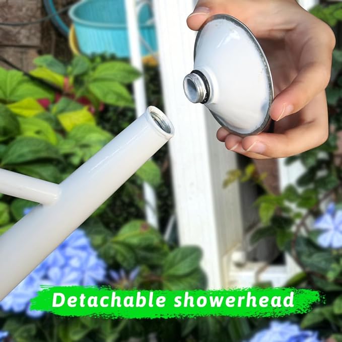 Metal Watering Can for Outdoor and Indoor Plants, Watering Can Decor, 1 Gallon (Aquarius)