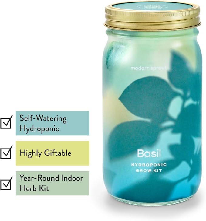 Modern Sprout New & Improved Mason Jar Grow Set 6pk, Indoor Herb Garden, Seed Starter Set, Organic Seeds, Hydroponic Growing (Basil + Mint + Parsley + Cilantro + Rosemary+ Lavender)
