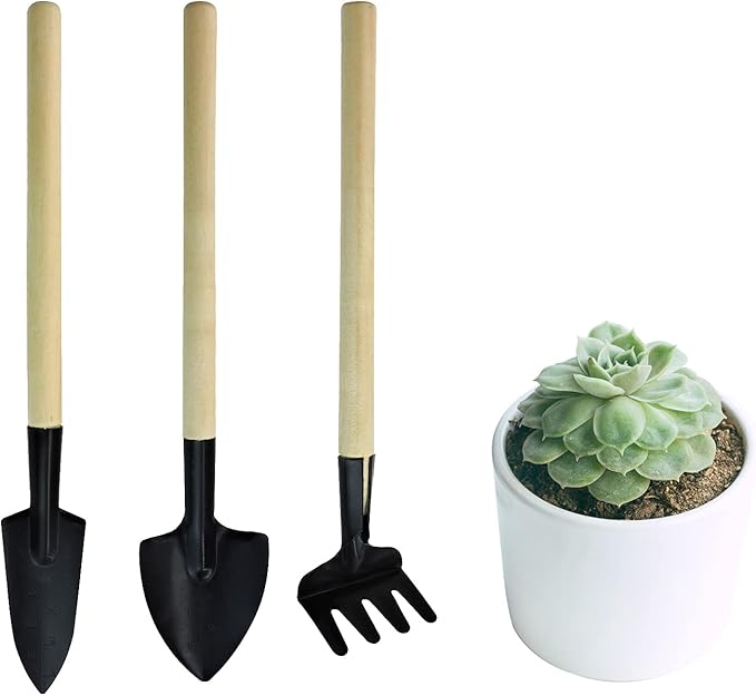 Andiker Mini Gardening Tools, 3pcs Portable Garden Hand Tools Set, Miniature Gardening Rake Trowel and Shovel for Seedlings, Bonsai, Succulents, Herbs, Terrariums and Planting (3pcs)