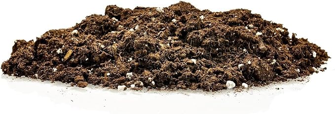 Premium Pothos Potting Soil Mix - Air Cleaning Plant Potting Mix, Soil Mix for Pothos, Parlor Palm, Peace Lily - (4 Quart Bag)