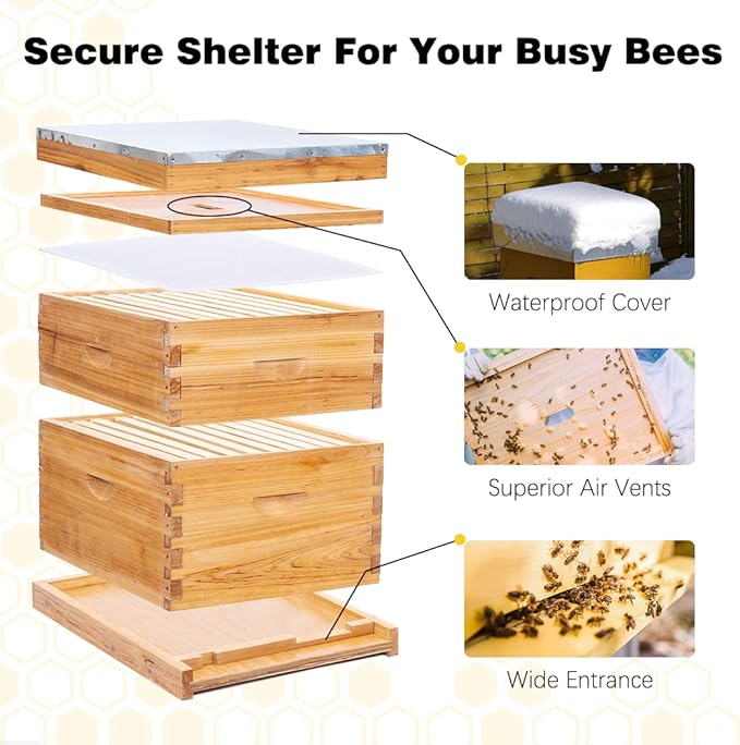 POLLIBEE 10 Frame Bee Hive,Beeswax Coated Beehive Kit for Bee Keeper,Complete Beehive Include 1 Deep Brood Bee Box and 1 Medium Bee Hive Box with Frame and Foundation