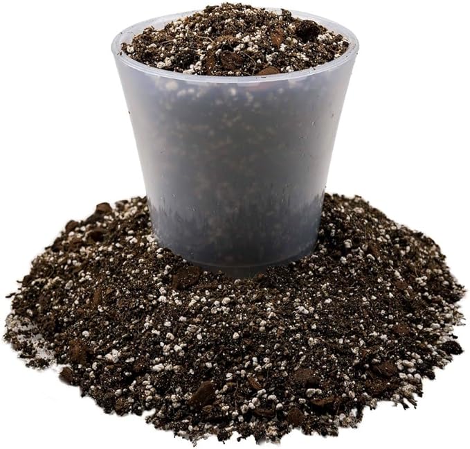 Premium Dahlia Potting Soil Mix - Ideal for Growing Vibrant and Healthy Dahlias - 5 Quart