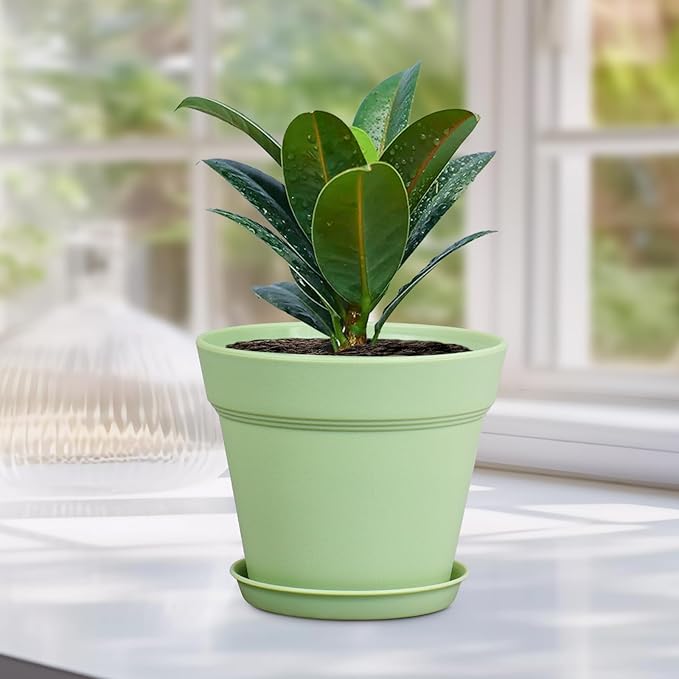 6 inch Small Plastic Nursery Pots, Seedling Pots, 16 Pack Plant Pots for Indoor Outdoor Plants, Flower Pots with Drainage Holes and Saucers, Decorative Planters for House Plants, Colorful