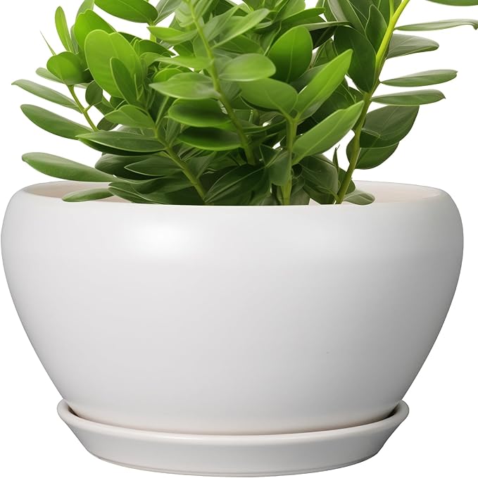 Ceramic Planter for Indoor Plants - 11 Inch Plant Pot with Drainage Hole and Saucer Decorative Round Large Planter Pot for Plants Outdoor Flower Pot for Garden White