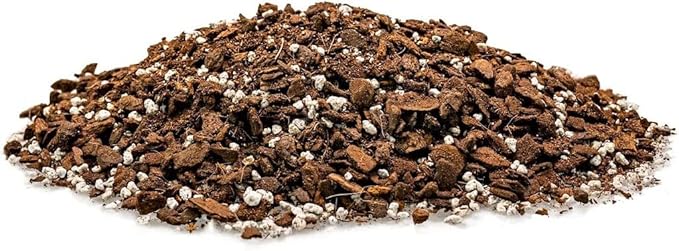 Monstera Dubia Potting Mix - Perfectly Formulated for Unique Plant Needs - 4 Quart