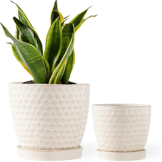 Plant Pots, Flower Pots, Planters for Indoor Plants(6.5+5.5inch), Flower Pots for Indoor Plants with Drainage Hole and Saucer, Ceramic Pots for Plants with Hole Mesh Pad,Reactive Glaze White
